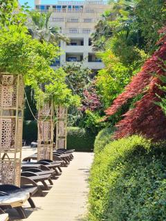 Luxurious Studio - Pool View in Argisht Partez - Golden Sands - 3