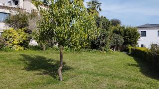 charming villa with pool - Bastelicaccia - 2
