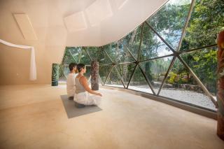 Alma Maya Resort - Riviera Maya - 5