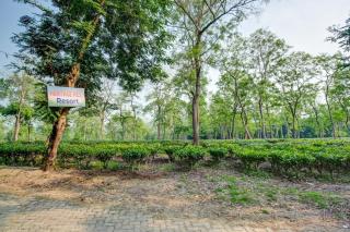 Hotel O Heritage Nest Resort Kazirnga - Kāziranga - 0