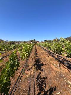 Tuscany Valle Escape - 6