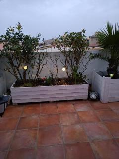 La Terrazza Fiorita - - 2