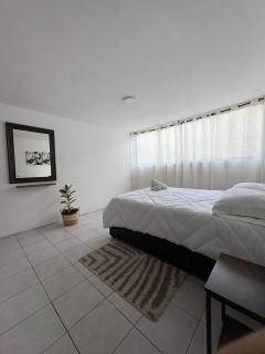 Cozy apartment - Apizaco - 8