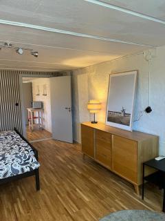 Newly renovated recreation room in Lomma - Lomma - 1