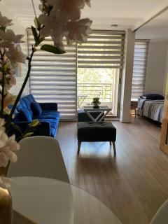 Comfortable Apartment in Providencia - Santiago - 4