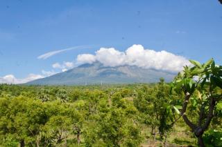 Dewenten Home Stay - Tulamben - 5
