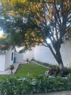 La Cabaña de Don Neto - Santa María Atlihuetzián - 9