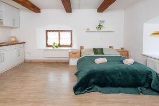 Útulný apartmán v srdci Třeboně - Třeboň - 8