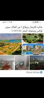 الاسماعيلية فايد - - 5