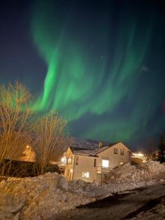 Sentral og koselig leilighet - Tromsø - 7