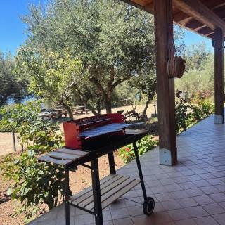 La Collina degli Dei - Zaccanopoli - 3