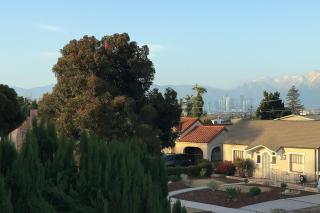 Charming Casita near USC, SOFI, and Culver City - Los Angeles - 1