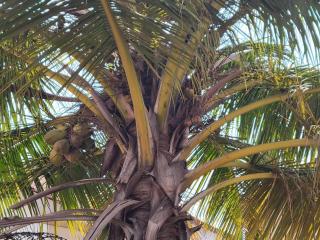 Cozy Duafe Villa 3BR 24hr Security WiFi East Legon - Ogbojo - 5
