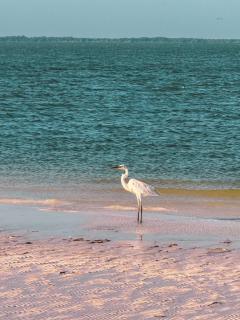 Casa Marassi Holbox - Holbox - 2
