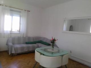 Apartment Marjan - One Bedroom Apartment with shared Terrace - Posedarje (Possedaria) - 9