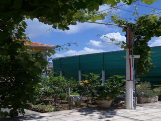 Holiday Home Kata - Two-Bedroom Holiday Home with Balcony - Lumbarda (Lombarda) - 2