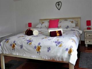 Apartments Belicka - Two Bedroom apartment with Shared Terrace - A1 - Poreč - 7