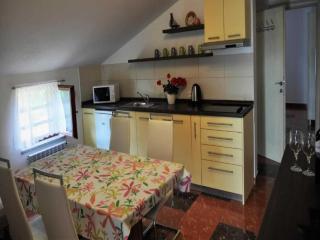 Apartments Belicka - Two Bedroom apartment with Shared Terrace - A1 - Poreč - 8