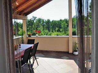 Apartments Belicka - Two Bedroom Apartment with shared Terrace - A2 - Poreč - 0
