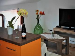 Apartments Belicka - Two Bedroom Apartment with shared Terrace - A2 - Poreč - 1
