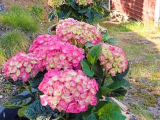 5 person holiday home in INGARÖ - 2