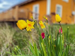 4 star holiday home in HALTORP - - 1