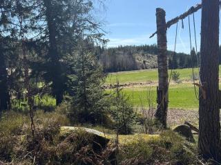 4 star holiday home in Grimstad - 1