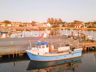 5 star holiday home in Hemmet - 5