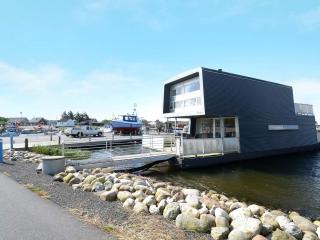 5 star holiday home in Hemmet - 2