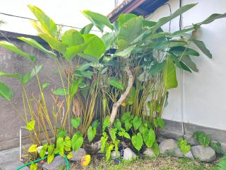 Ubud Dream House Villa - Ubud - 1