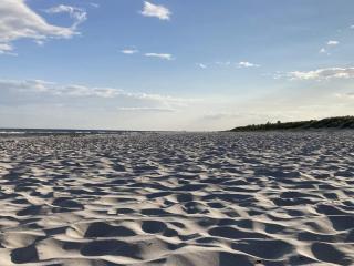 Peaceful Country Escape with Terrace - 2