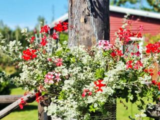 5 person holiday home in HALLSTAVIK - 8