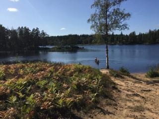 8 person holiday home in Ärla - Malmköping - 4