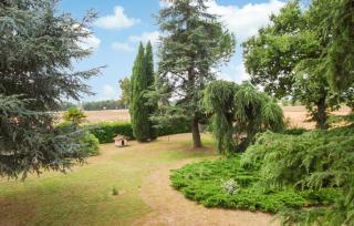 Awesome Home In Cingoli With Wifi - Cingoli - 3