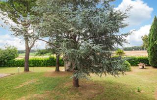 Awesome Home In Cingoli With Wifi - Cingoli - 9