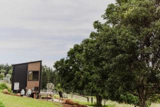 8 Farm Macadamia Plantation 1 by Tiny Away - 9