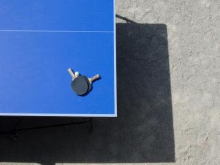 Villa in Banne with Pool and Nature Trails, cleaning included - Banne - 7