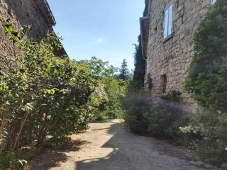 Charming House in Ardèche near Les Vans, cleaning included - Saint-Genest-de-Bauzon - 9