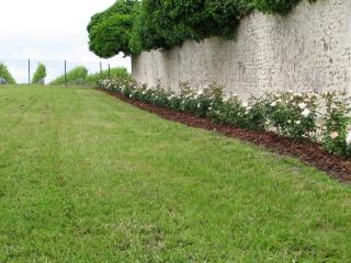 Villa in Segonzac with Pool and Vineyards, cleaning included - Segonzac - 4