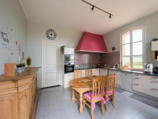 Villa in Champagne near Remehan Castle, cleaning included - - 6