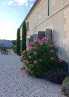 Country home, gite proche Benon et La Rochelle - 1