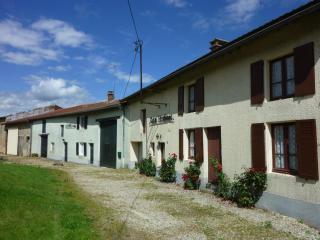 Spacious holiday home near the forest, cleaning included - Barricourt - 5