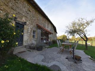 Spacious holiday home near the forest, cleaning included - Barricourt - 6