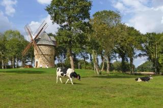 Windmill Stay near Goelo Coast Beaches, cleaning included - Gommenecʼh - 0