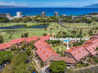 Kaanapali Royal H101 - 5