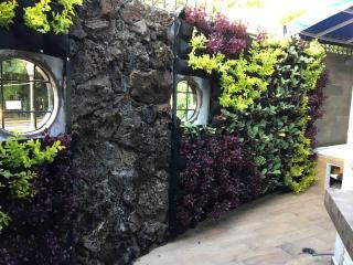 Loft 16 Beautiful place in downtown Cuernavaca! - Cuernavaca - 7