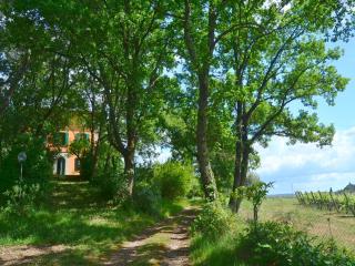 Lovely holiday home in Montefiridolfi with hill view - Montefiridolfi - 1