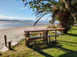 Back to Basics Accommodation - Whakamarama - 0