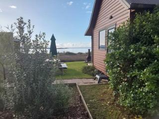 Back to Basics Accommodation - Whakamarama - 1