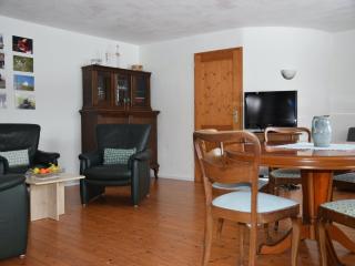 Apartment in Freiburg near Black Forest, cleaning included - Herrischried - 7